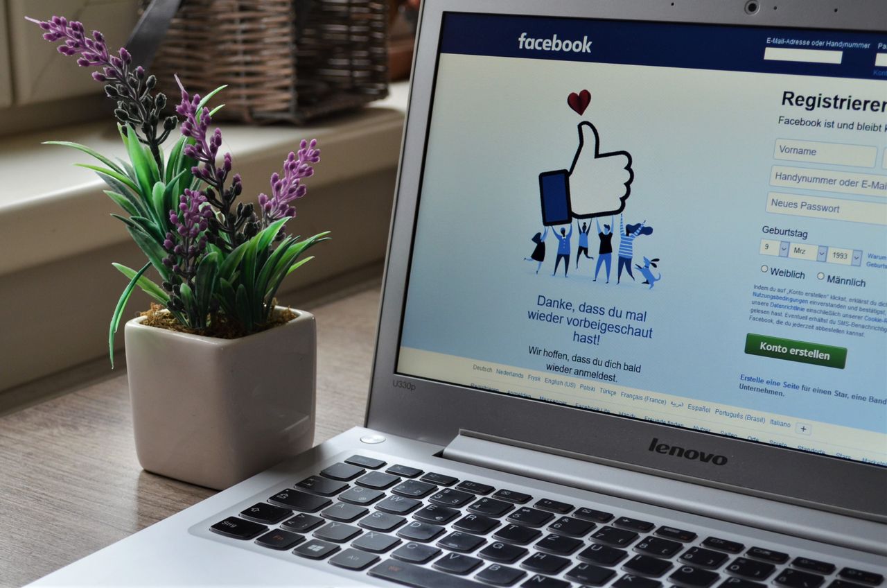 An older laptop beside a potted plant